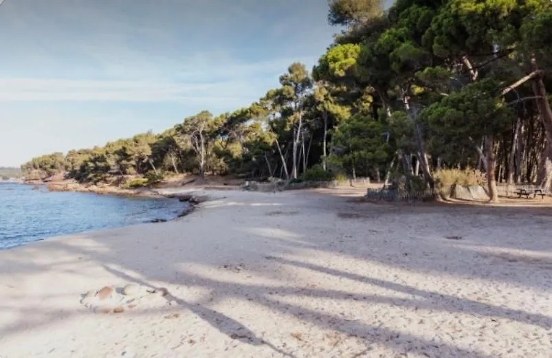 Charmant Studio A Saint Mandrier Sur Mer Apartment